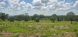 Tract 6 Lehne Loop - Photo 25