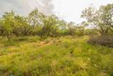438 Firefly Field Ln - Photo 10