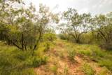 438 Firefly Field Ln - Photo 11