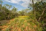 438 Firefly Field Ln - Photo 12