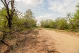 438 Firefly Field Ln - Photo 15