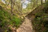 438 Firefly Field Ln - Photo 28