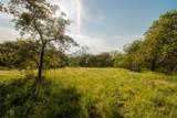 438 Firefly Field Ln - Photo 5