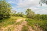 438 Firefly Field Ln - Photo 9