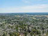 Lot 2 (4.81 Acres) Pauline Ln - Photo 12