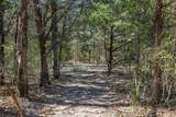 Lot 2 (4.81 Acres) Pauline Ln - Photo 4