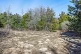 Lot 2 (4.81 Acres) Pauline Ln - Photo 5