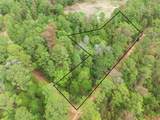 TBD Red Fox Rd - Photo 4