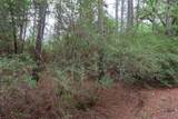 TBD Red Fox Rd - Photo 9