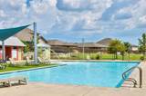 314 Dusky Thrush Dr - Photo 40