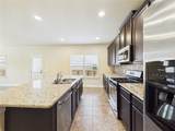 329 Green Heron - Photo 15