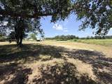 10901 County Road 367 - Photo 3
