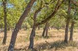 18.145 Acres Herber-Schaefer Rd - Photo 10