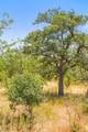 18.145 Acres Herber-Schaefer Rd - Photo 11