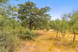 18.145 Acres Herber-Schaefer Rd - Photo 12