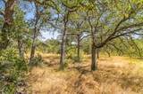 18.145 Acres Herber-Schaefer Rd - Photo 14