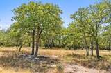 18.145 Acres Herber-Schaefer Rd - Photo 20