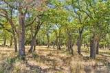 18.145 Acres Herber-Schaefer Rd - Photo 22