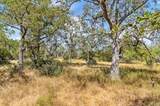 18.145 Acres Herber-Schaefer Rd - Photo 30