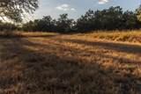 18.145 Acres Herber-Schaefer Rd - Photo 34