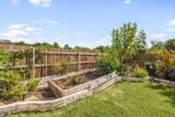 449 Conchillos Dr - Photo 26