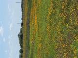 1993 Fm 2761 - Photo 8