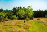 203 Rheingold School Rd - Photo 4