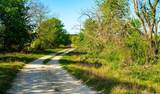 203 Rheingold School Rd - Photo 5