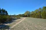 0 Fm 581 Highway - Photo 14