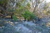 0 Fm 581 Highway - Photo 15