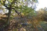 0 Fm 581 Highway - Photo 16