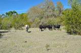 0 Fm 581 Highway - Photo 25