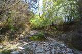 0 Fm 581 Highway - Photo 29