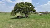 2792 Fm 535 - Photo 27