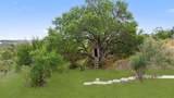 1900 Byrd Ranch Rd - Photo 35