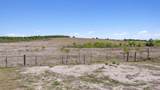 1167 County Road 427 - Photo 5