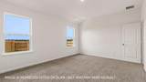 25516 Timber Drop Ln - Photo 16