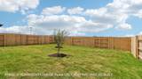 25516 Timber Drop Ln - Photo 27