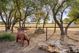 2700 County Road 282 Rd - Photo 7