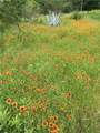 500 Owl Hollow Rd - Photo 22