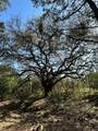 500 Owl Hollow Rd - Photo 26