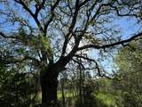 500 Owl Hollow Rd - Photo 28