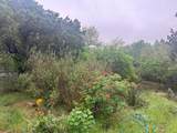 500 Owl Hollow Rd - Photo 31