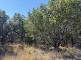 Lot K10037 Drew Drop - Photo 15