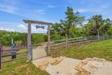 1102 Sage Thrasher Cir - Photo 40