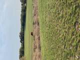 2029 County Road 200 - Photo 15