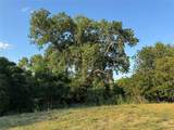 4401 Trimmier Rd - Photo 15