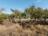 TBD Mesa Alta Ln - Photo 24