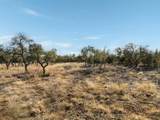 TBD Mesa Alta Ln - Photo 26
