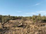 TBD Mesa Alta Ln - Photo 27